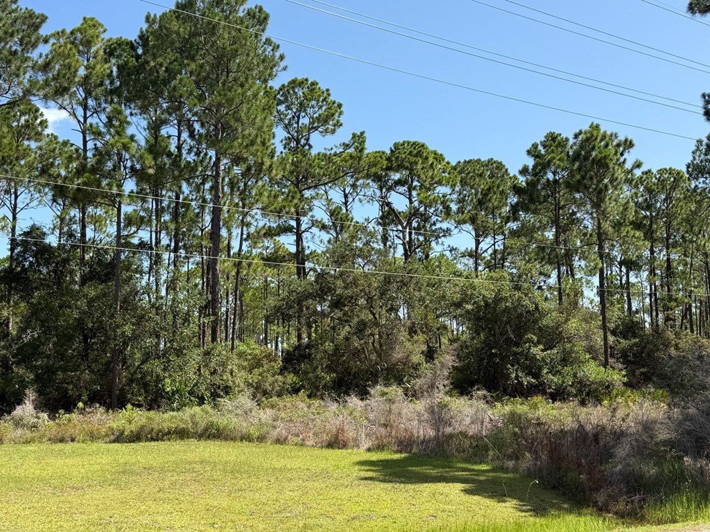 Picture 4