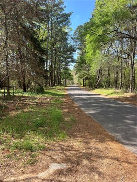 Heavily Wooded Timberland Tract