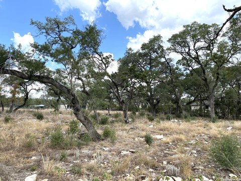 LAND - New Braunfels, TX