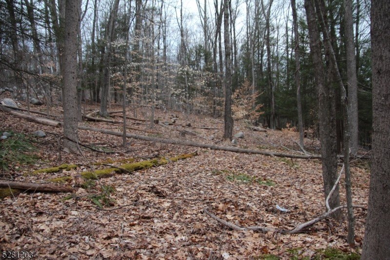 Picture 12