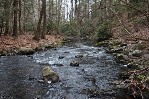 Recreational Streamfront Land Parcel