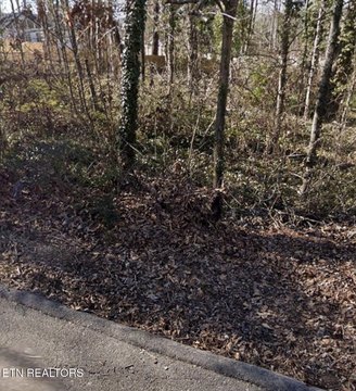 Lots & Acreage, Knoxville, TN