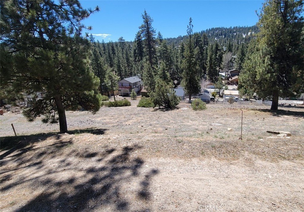 Picture 3