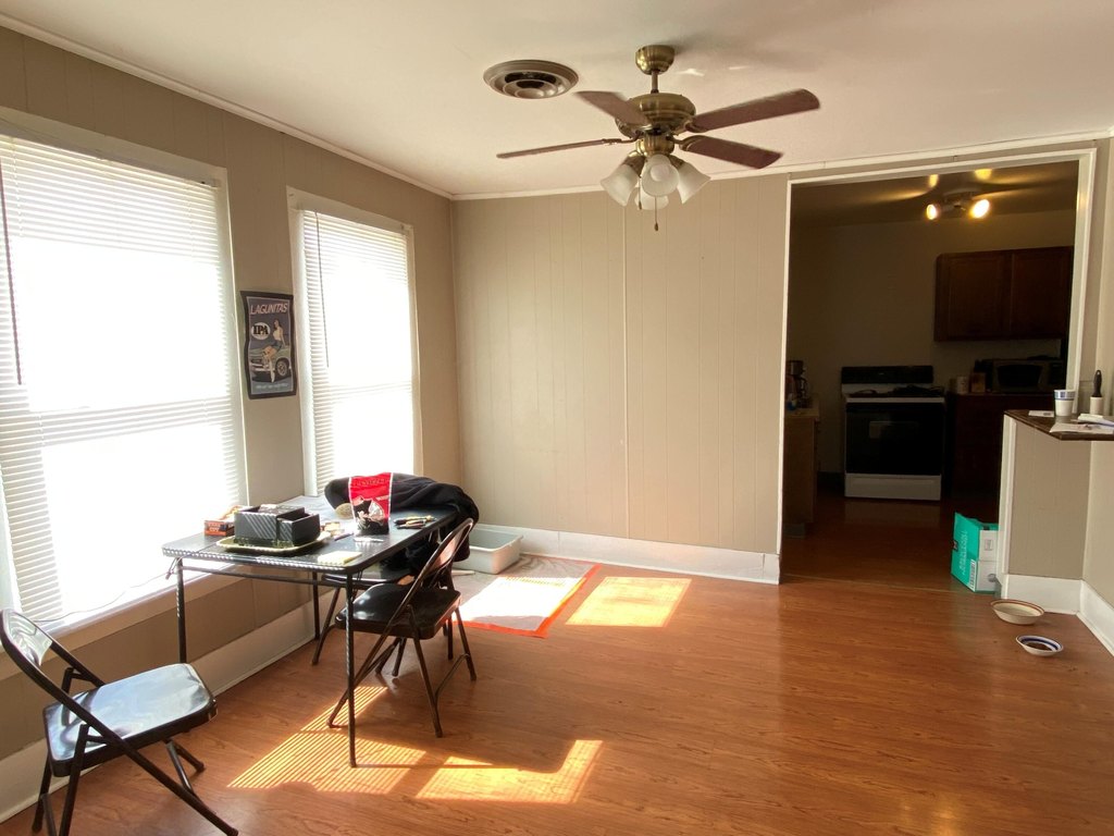 Picture 8