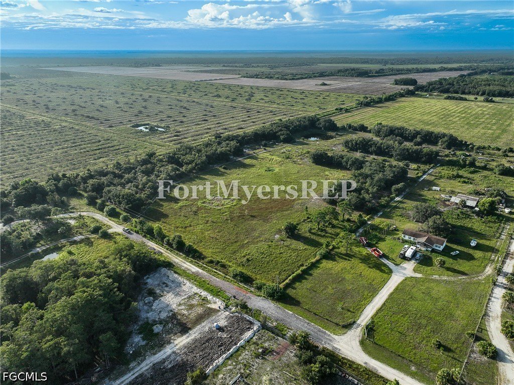 Picture 21