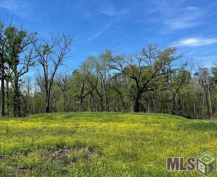 Residential Land in Geismar, LA
