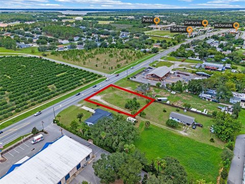 Tavares Land on SR19 Frontage