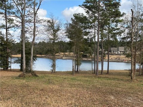 Land on Headwaters Lake
