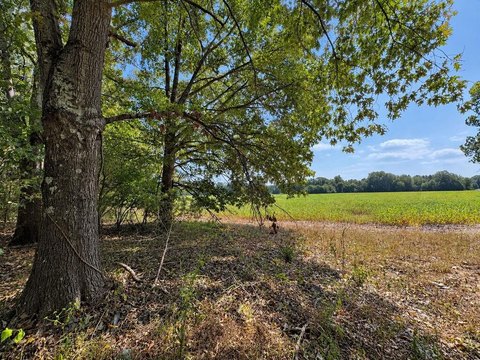 Land, SARDIS, MS