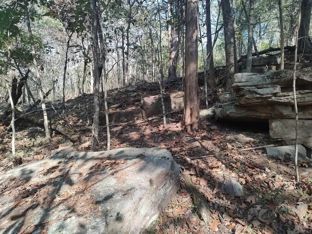 Picture 14