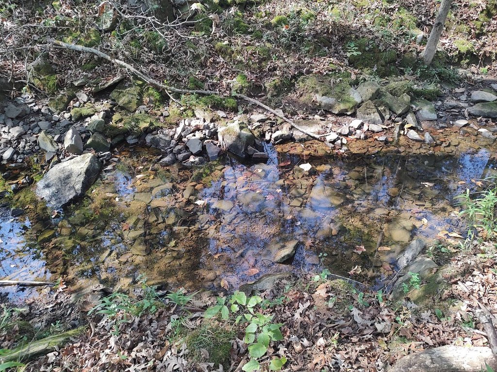 Picture 18