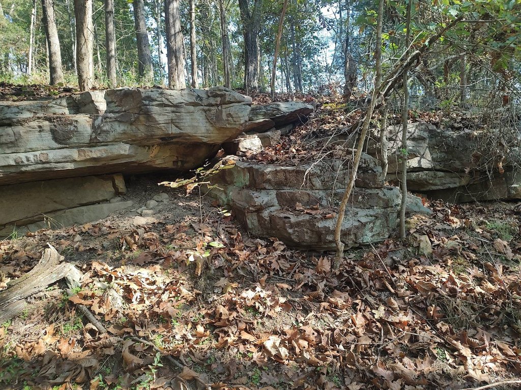 Picture 13