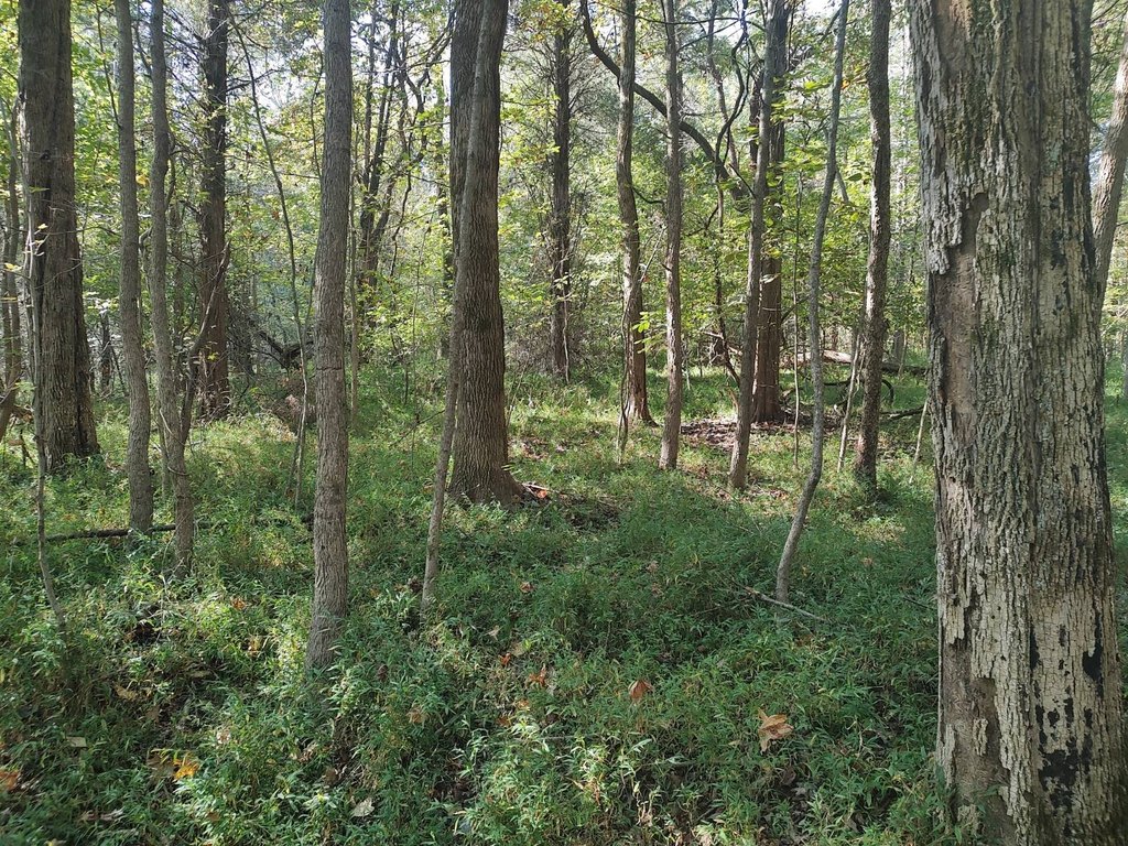 Picture 5