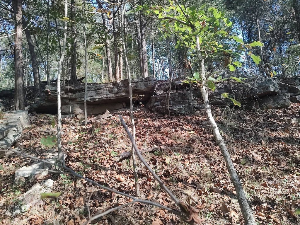 Picture 12