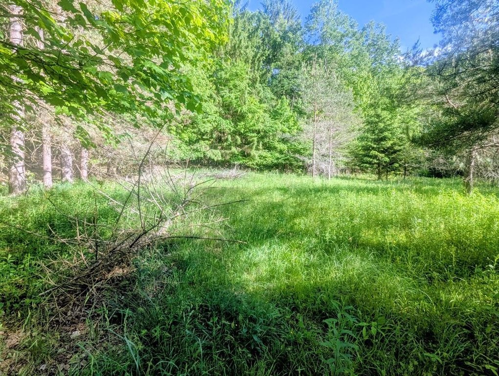 Picture 29