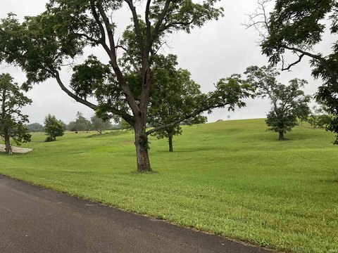 Residential Home Lot