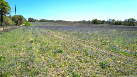 Land, La Vernia, TX