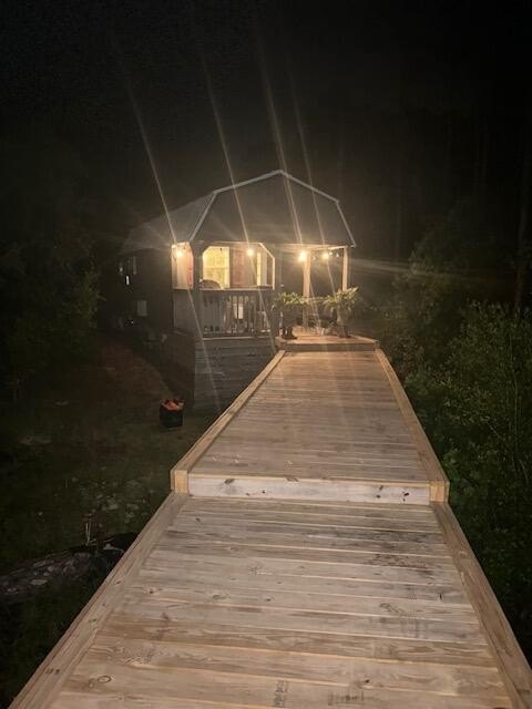 Picture 11