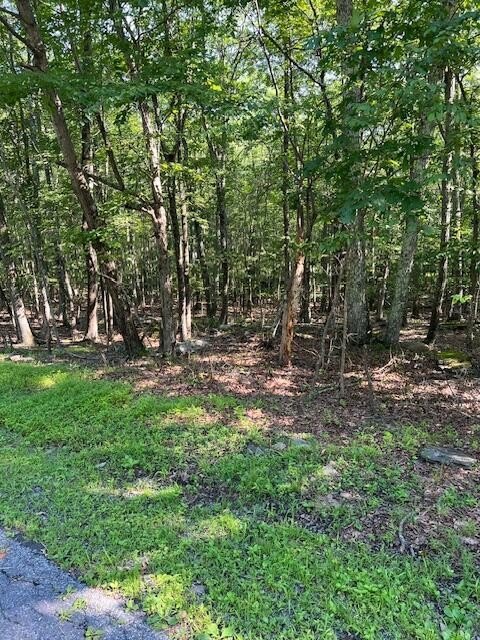 Spacious Lot in Quiet Neighborhood
