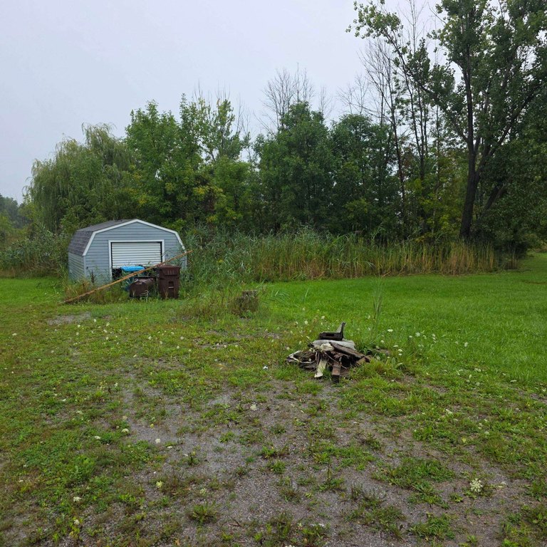 Picture 3