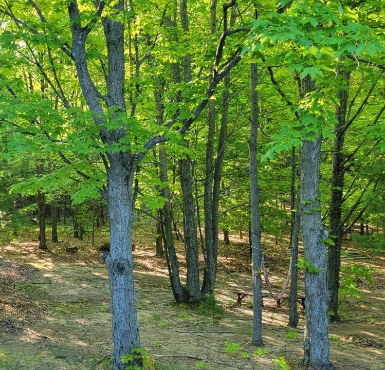 Picture 17