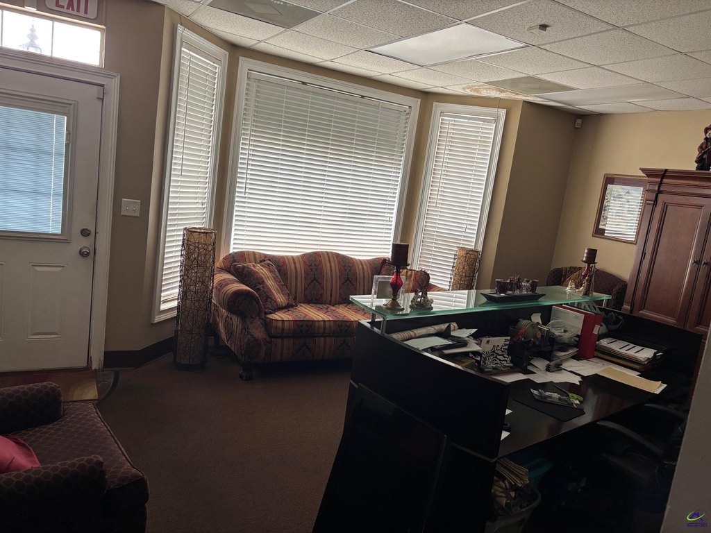 Picture 5