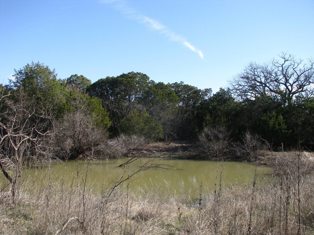Picture 7