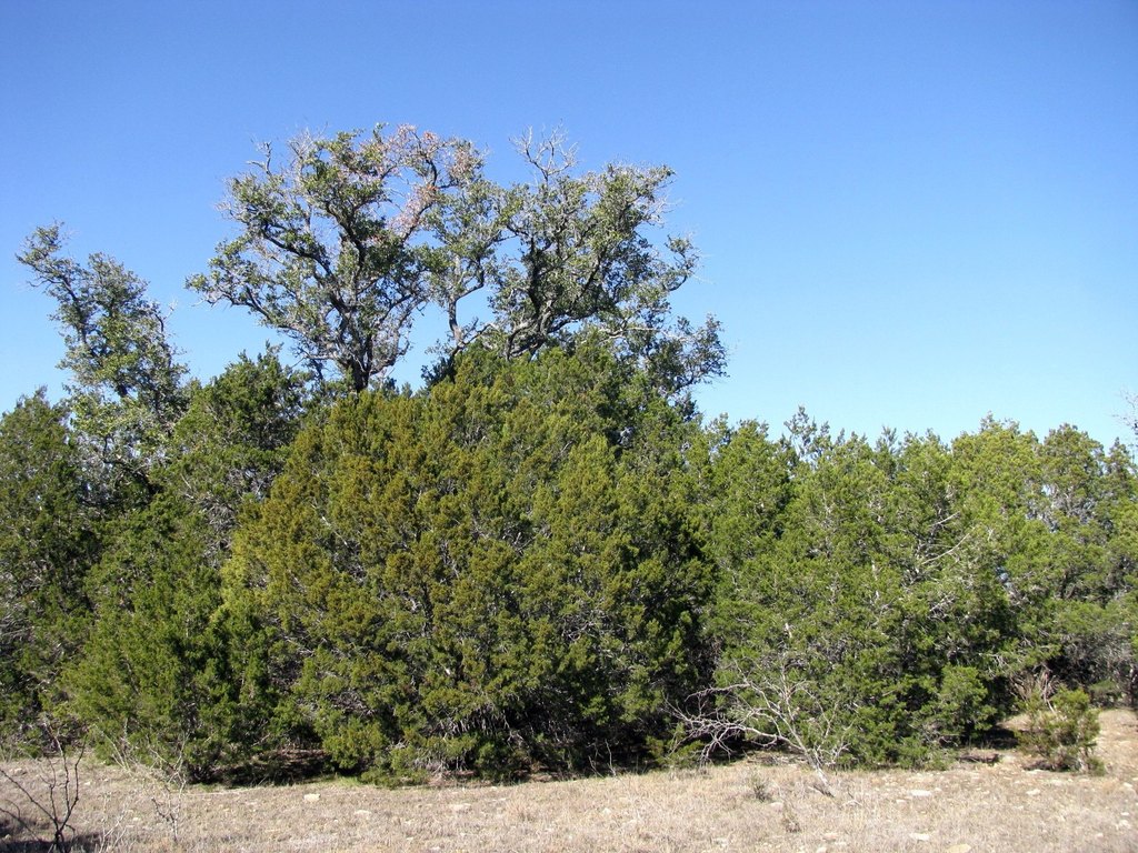 Picture 16