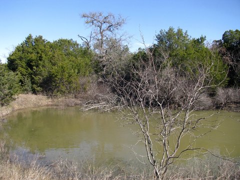 Land for Sale in Evant