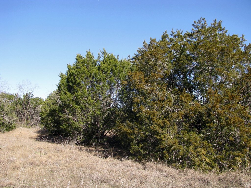 Picture 9