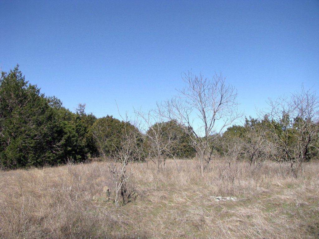Picture 14