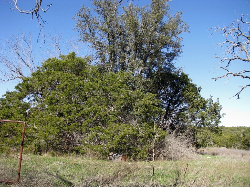 Picture 24