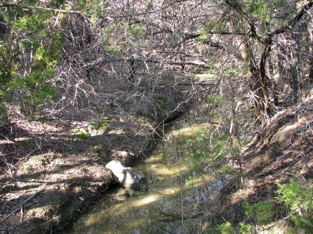Picture 17