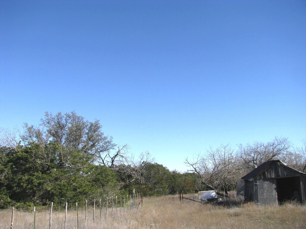 Picture 25