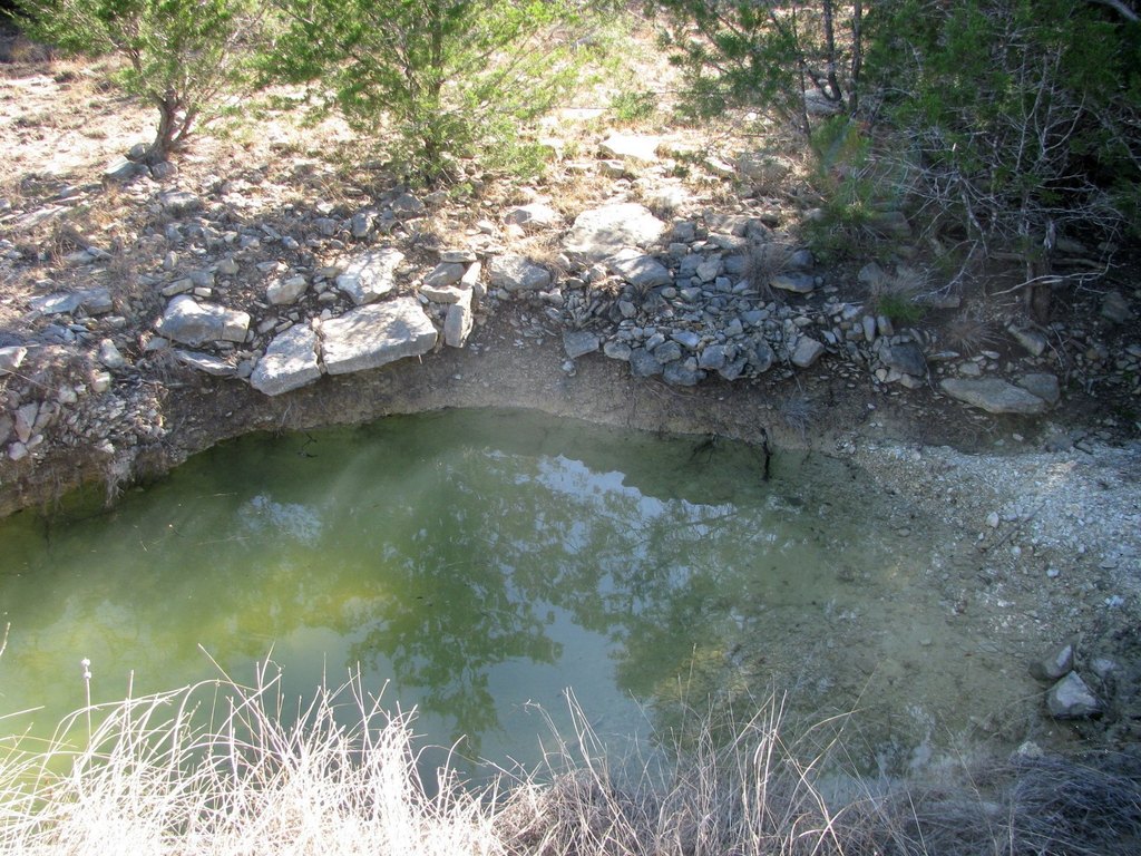 Picture 12