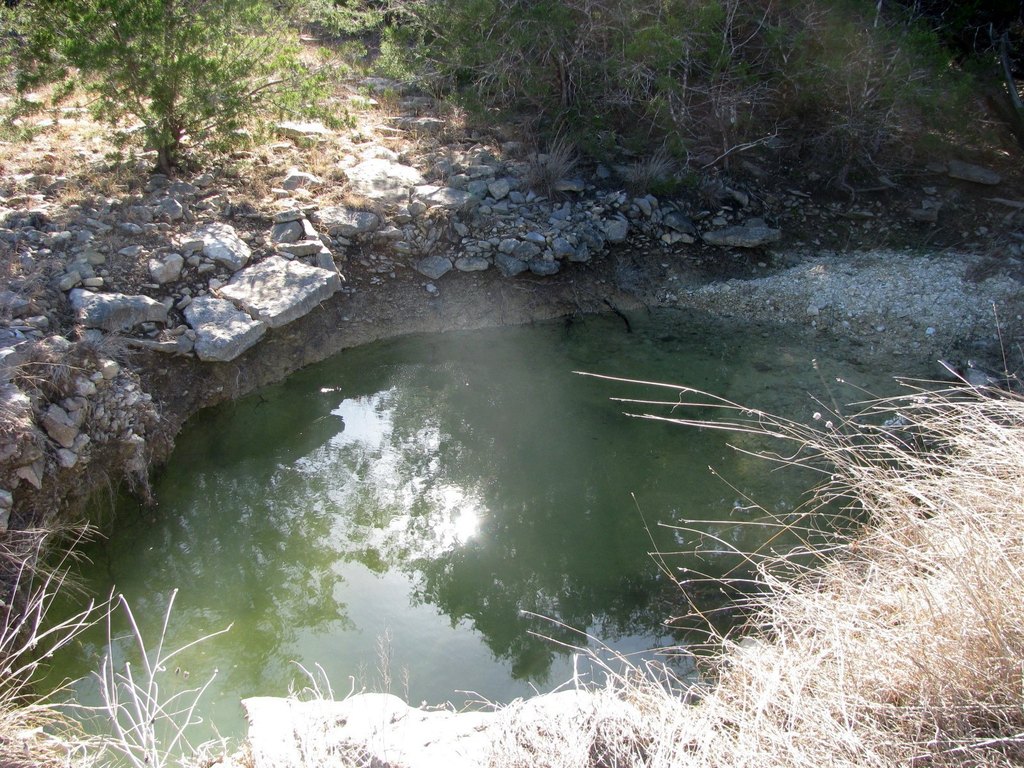 Picture 13