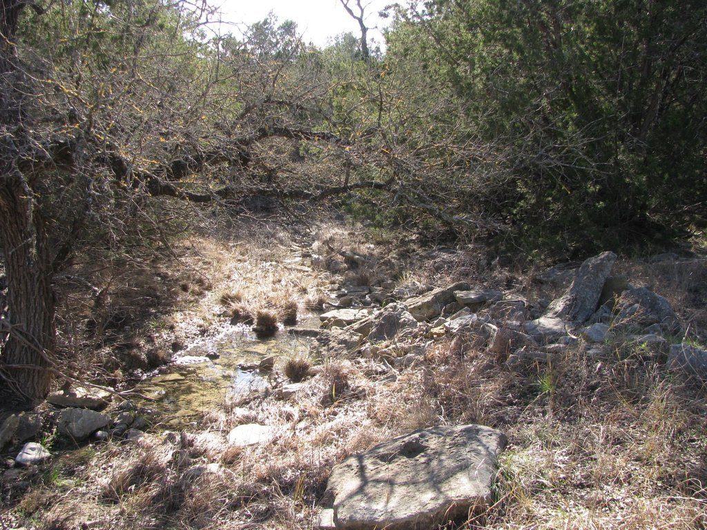 Picture 10