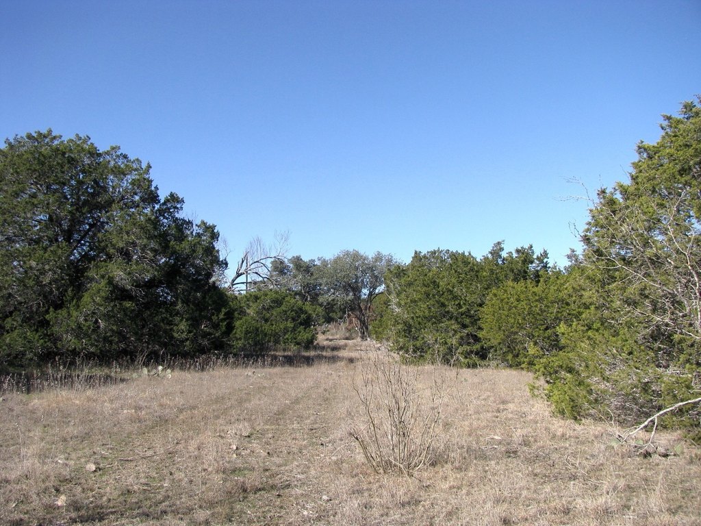 Picture 19