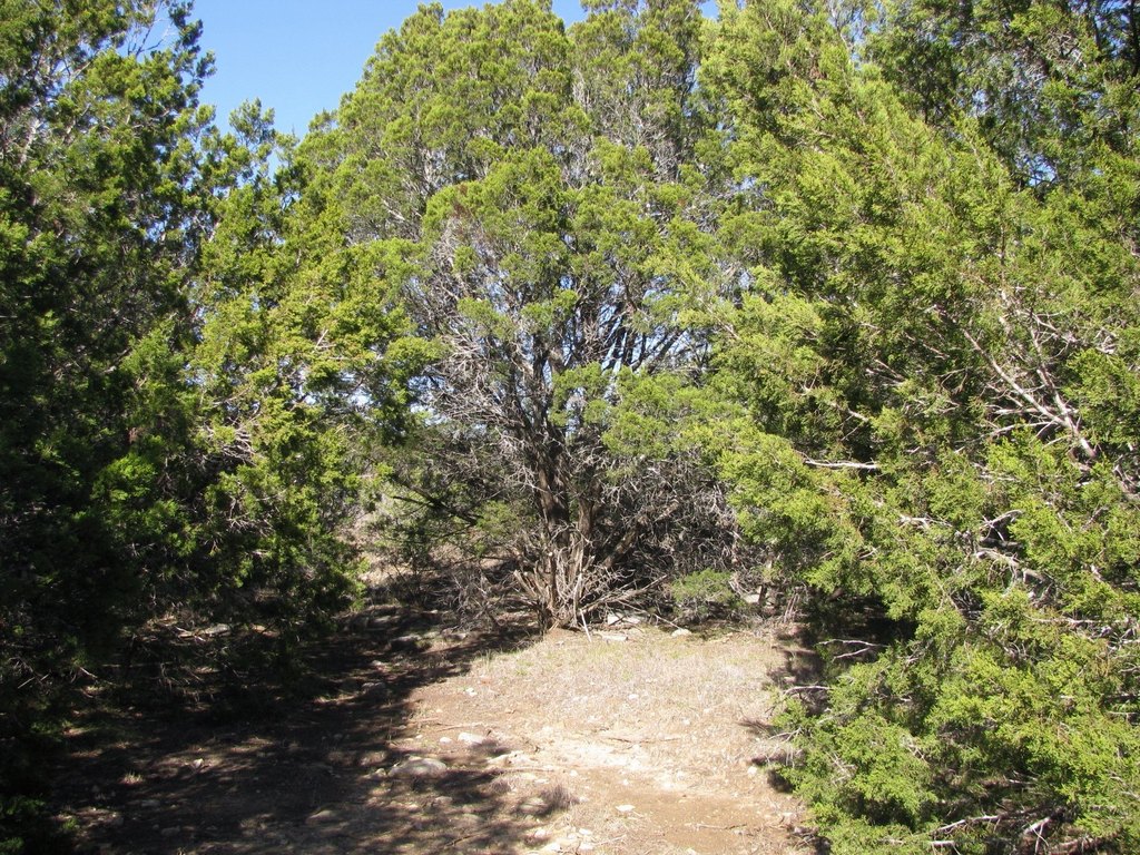Picture 18