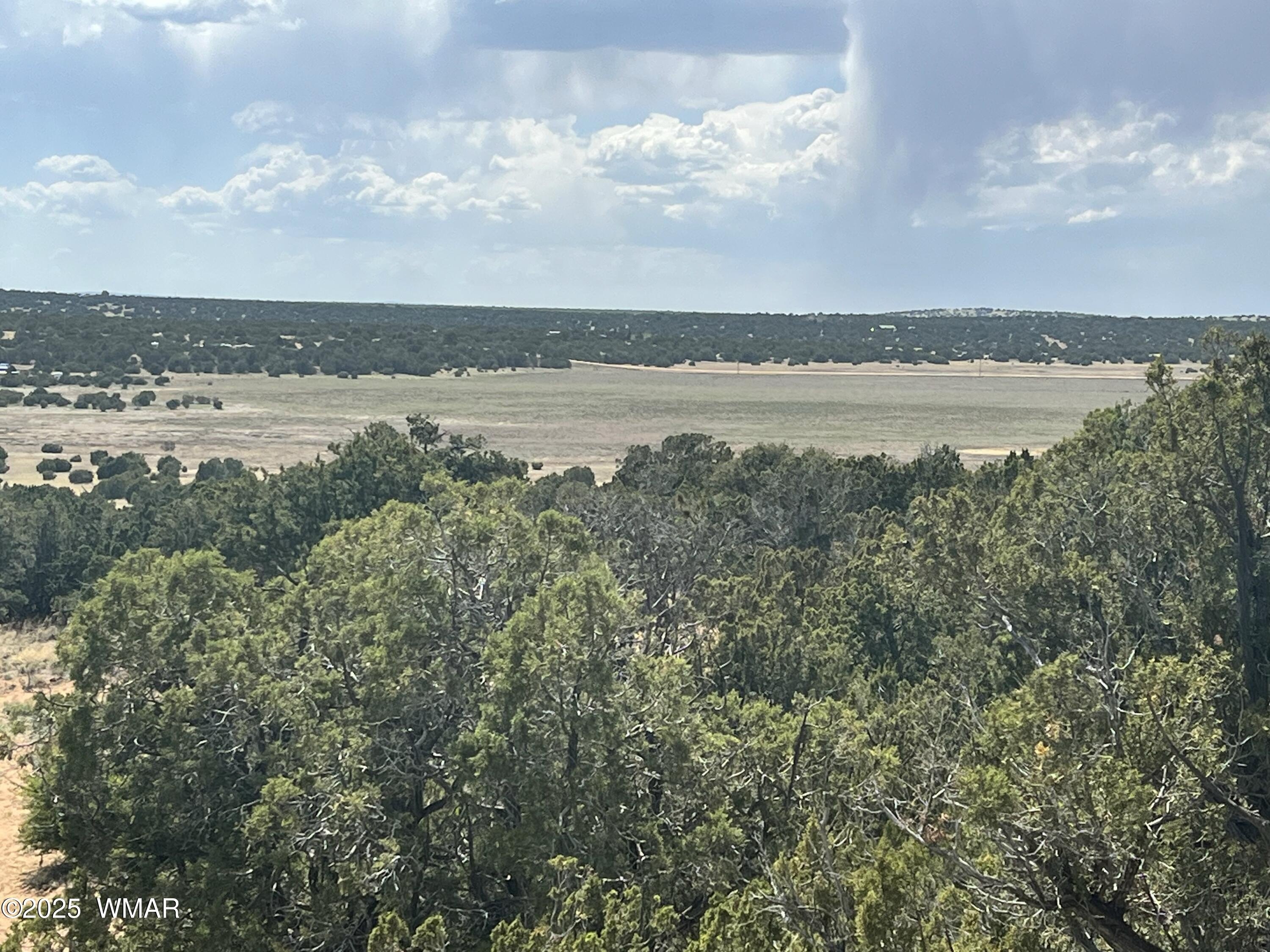 80 Acres in White Mountains
