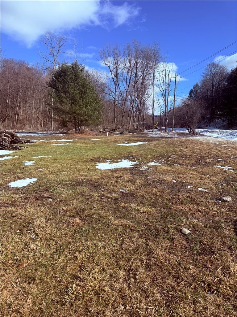 Land in Beaver Dams, NY