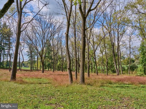 Land, NEW HOPE, PA