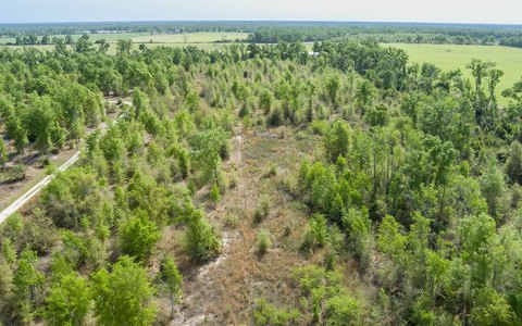 Rural Agricultural Land Tract