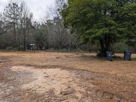 Cleared Lot Ready for Development