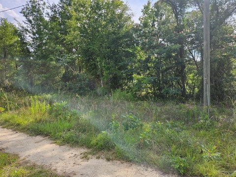 Residential Building Lot