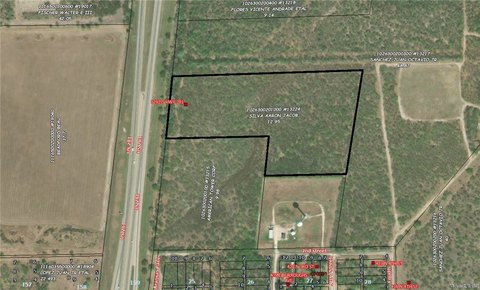 LAND - Alice, TX