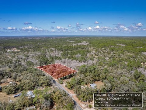 Sopchoppy, FL Residential Land