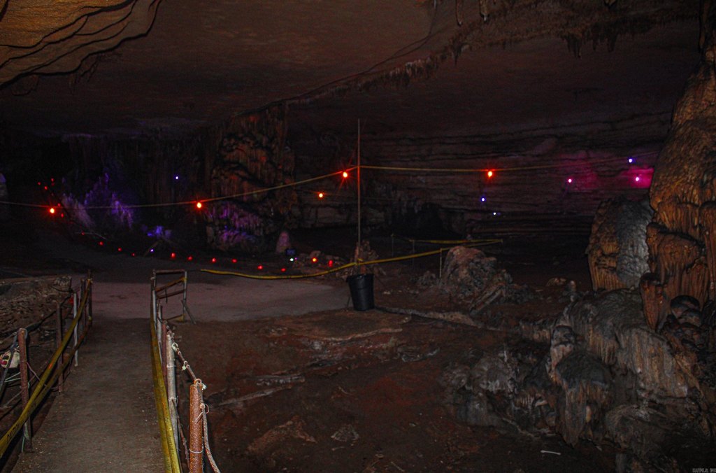 Picture 34