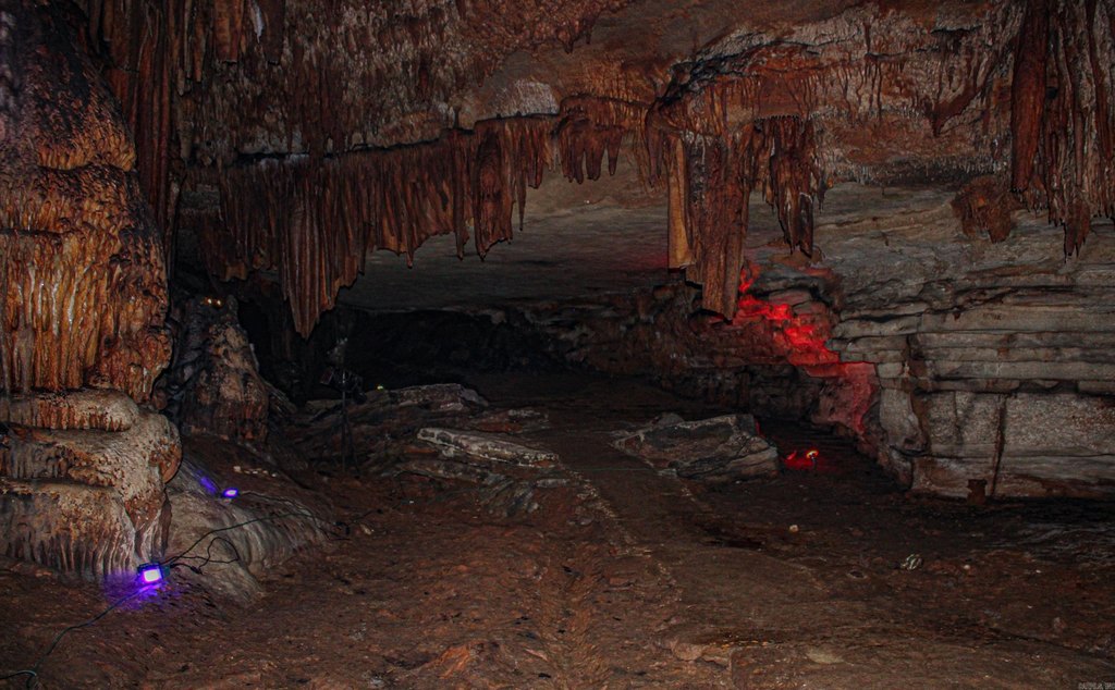 Picture 4