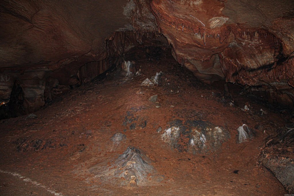 Picture 26
